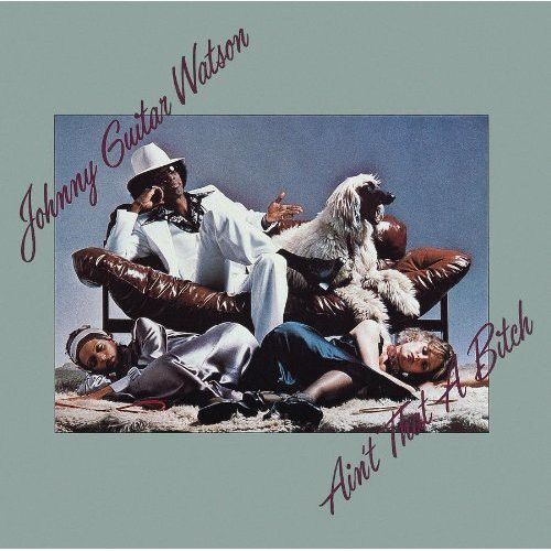 【輸入盤CD】Johnny Guitar Watson / Ain 039 t That A Bitch (Bonus Tracks) (リマスター盤) (ジョニー ギター ワトソン)