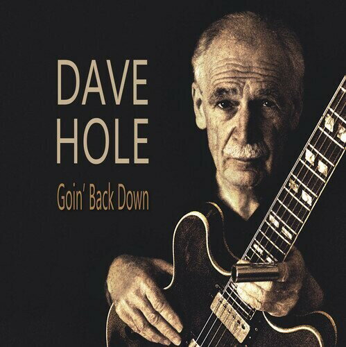 【輸入盤CD】【新品】Dave Hole / Goin' Back Down 【K2018/6/8発売】