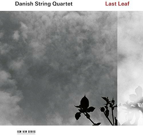 【輸入盤CD】【新品】Danish String Quartet / Last Leaf 【K2017/9/29発売】