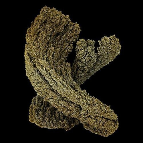 ��͢����CD�ۡڿ��ʡ�Max Cooper / Emergence ��K2016/12/2ȯ���