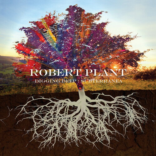 ͢CDRobert Plant / Digging Deep: SubterraneaK2020/10/2ȯ(Сȡץ)