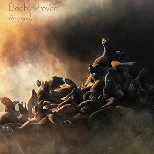 2018/2/23 発売輸入盤レーベル：RARENOISE RECORDS収録曲：Highly respected drummer and prolific composer Bobby Previte continues his Terminals trilogy with Rhapsody, a song cycle on the subject of transit and migration. Subtitled In Transit: Terminals II, Previte's newest work was scored for acoustic sextet and features fellow composerimprovisers in guitarist Nels Cline, harpist Zeena Parkins, pianist John Medeski, vocalist, alto saxophonist Fabian Rucker and vocalist-erhu player Jen Shyu. This latest major work, released on RareNoise Records in February 2018, comes on the heels of Previte's powerful prior RareNoise release, Mass, a nine-part work scored for choir, pip organ and heavy metal trio. Rhapsody was commissioned by the Greenfield Prize at the Hermitage Artist Retreat in Florida and had it's world premiere on April 21, 2017 at New College in Sarasota.