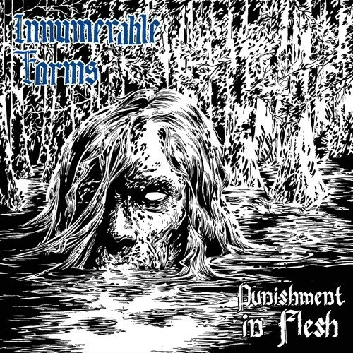 ��͢����CD�ۡڿ��ʡ�Innumerable Forms / Punishment In Flesh ��K2018/6/8ȯ���