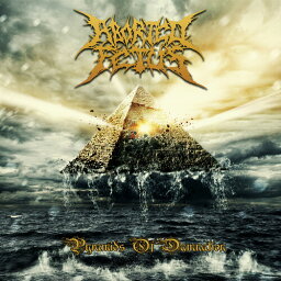 【輸入盤CD】Aborted Fetus / Pyramids Of Damnation【K2020/9/11発売】