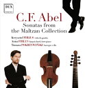 【輸入盤CD】 Abel/Firlus/Pokrzywinski / Sonatas From Maltzan Collection【K2019/8/2発売】
