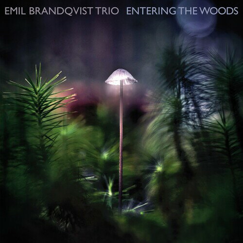 Emil Brandqvist / Entering The Woods (Digipak)