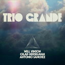 【輸入盤CD】Vinson/Antonio Sanchez/Gilad Hekselman / Trio Grande【K2020/11/13発売】