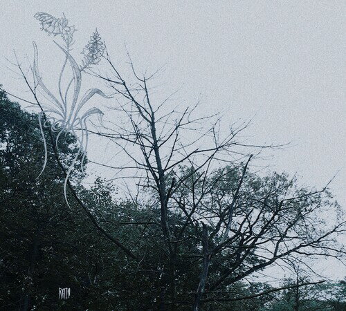 【輸入盤CD】【新品】Sadness / Rain【K2020/1/17発売】