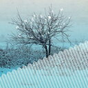 【輸入盤CD】【新品】Chihei Hatakeyama / Winter Storm