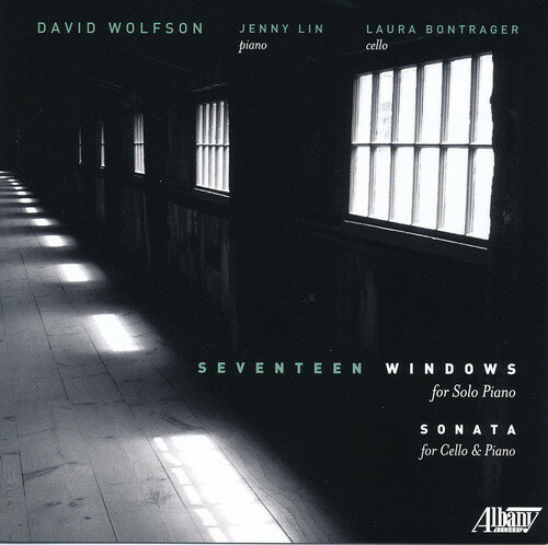 【輸入盤CD】【新品】David Wolfson / Seventeen Windows (デヴィッド・ウルフソン)