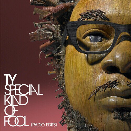 Artist Name: O - 【輸入盤CD】【新品】TY / Special Kind Of Fool (TY)