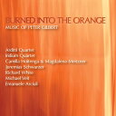 【輸入盤CD】VA / Burned Into The Orange【K2021/4/2発売】