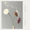 【輸入盤CD】Sanctus Real / Changed 【K2018/4/27発売】