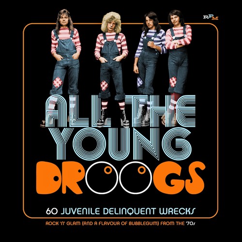 【輸入盤CD】VA / All The Young Droogs: 60 Juvenile Delinquent 【K2019/2/1発売】