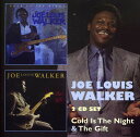 【輸入盤CD】【新品】Joe Louis Walker / Cold Is The Night/Gift