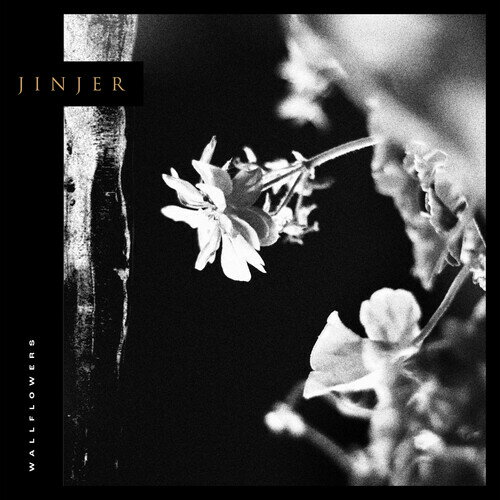 【輸入盤CD】Jinjer / Wallflowers【K2021/9/3発売】