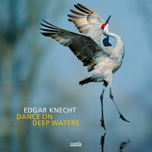 【輸入盤CD】【新品】Edgar Knecht / Dance On Deep Waters (Digipak)