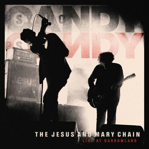 美品 THE JESUS AND MARY CHAIN CD 11枚セット ダークランズ ジーザス&メリー・チェイン The Jesus and Mary Chain