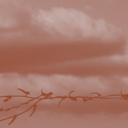 【輸入盤CD】【新品】Geneva Skeen / Double Bind【K2020/12/4発売】