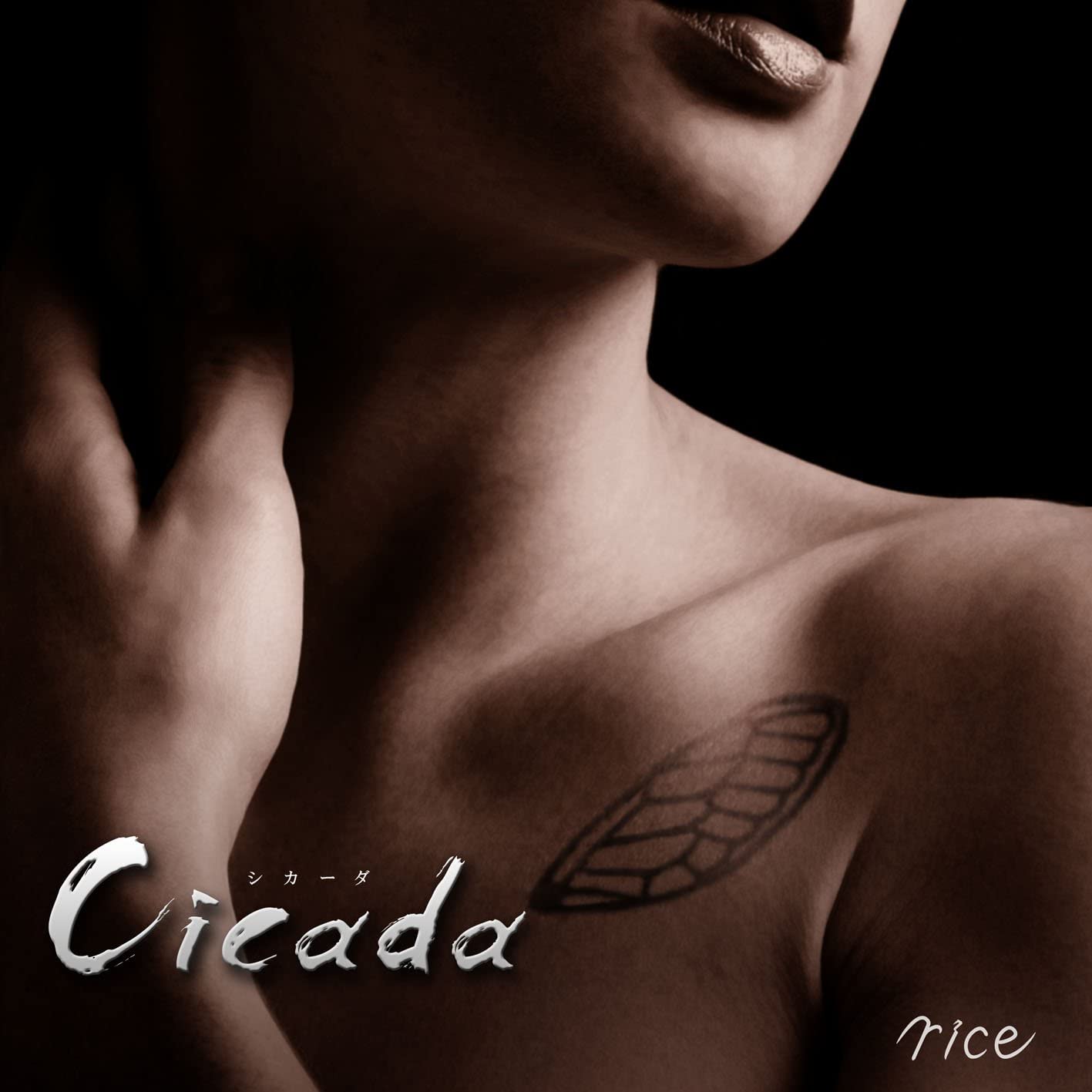 【国内盤CD】rice / Cicada【DVD付初回限定盤】(CDシングル)【★】