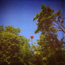 【輸入盤CD】【即納】【新品】Benoit Pioulard / Sonnet【★】
