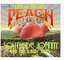 ͢CDSouthside Johnny / Peach Music Festivalڡ