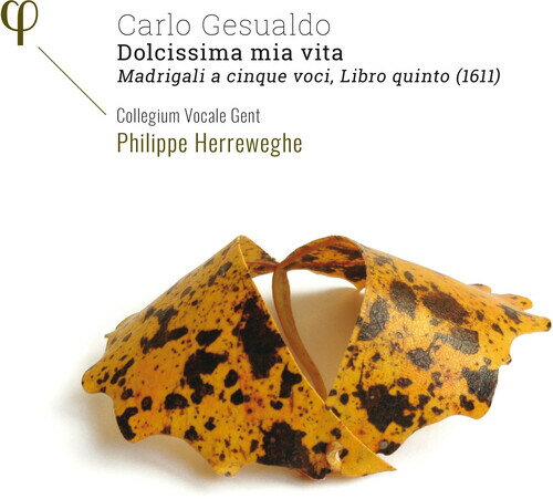 【輸入盤CD】Gesualdo/Collegium Vocale Gent/Herreweghe / Dolcissima Mia Vita【K2021/9/24発売】