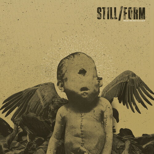 【輸入盤CD】Still/Form / From The Rot Is A Gift【K2022/8/19発売】