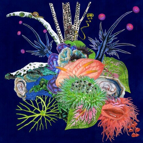 Artist Name: F - 【輸入盤CD】【新品】O'O / Touche【K2022/8/5発売】