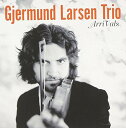 【輸入盤CD】【新品】Gjermund Larsen / Arrivals