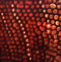 【輸入盤CD】【新品】SCOTTY RADICAL RECONSTRUCTIVE SURGERY HARD / SCOTTY HARD'S RADICAL RE...