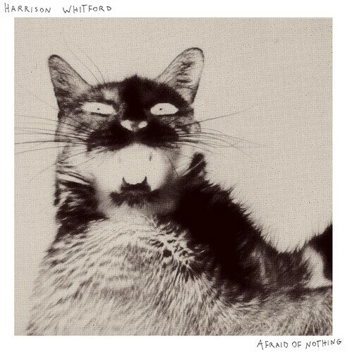 【輸入盤CD】【新品】Harrison Whitford / Afraid Of Nothing【K2021/11/12発売】