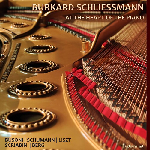 【輸入盤CD】Busoni/Schliessmann / At The Heart Of The Piano (3PK)【K2021/9/10発売】