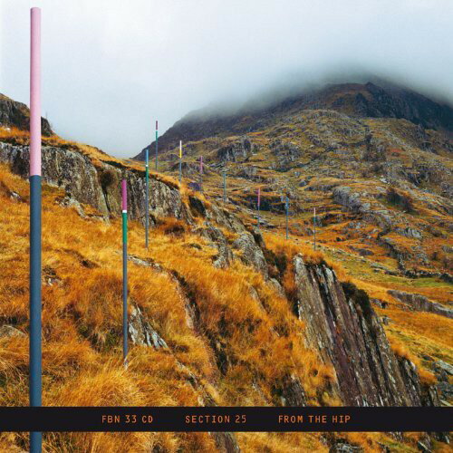 【輸入盤CD】【新品】Section 25 / From The Hip 【2014/5/6発売】( セクション25)