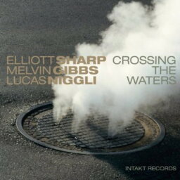 【輸入盤CD】Elliott Sharp/Melvin Gibbs/Lucas Niggli / Crossing The Waters (エリオット・シャープ)