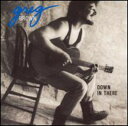 【輸入盤CD】【新品】GREG BROWN / DOWN IN THERE