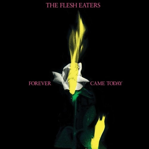 【輸入盤CD】【新品】Flesh Eaters / Forever Came Today