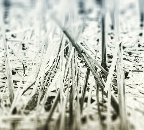 【輸入盤CD】【新品】Scanner / An Ascent【K2020/7/17発売】