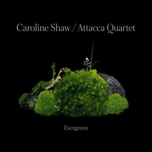 【輸入盤CD】Caroline Shaw Attacca Quartet / Caroline Shaw: Evergreen【K2022/9/23発売】