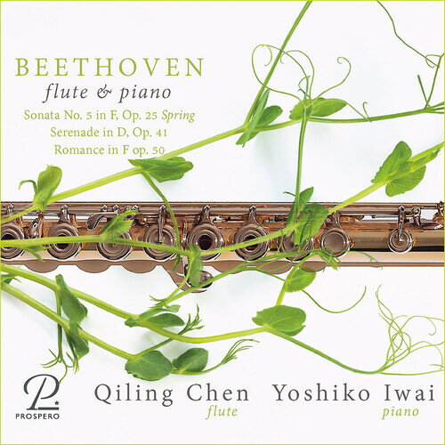 Chopin - 【輸入盤CD】【新品】L.V. Beethoven/Chen / Fruhlingssonate Fur Flote【K2023/4/21発売】