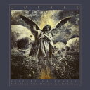【輸入盤CD】【新品】Culted / Vespertina Synaxis: A Prayer For Union & Emptiness【K2019/8/30発売】(カルテッド)