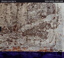 【輸入盤CD】【新品】Wadada Leo Smith / Rosa Parks: Pure Love 【K2019/2/15発売】