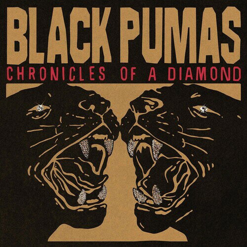 【輸入盤CD】【新品】Black Pumas / Chronicles Of A Diamond (Softpack)【K2023/10/27発売】