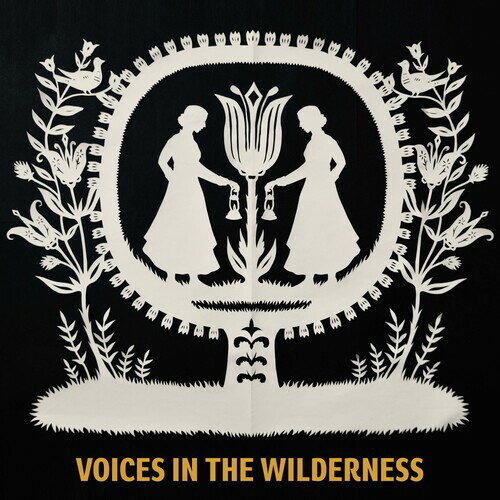 ��͢����CD�ۡڿ��ʡ�Christopher Dylan Herbert / Voices In The Wilderness��K2020/11/20ȯ���