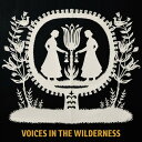 【輸入盤CD】Christopher Dylan Herbert / Voices In The Wilderness【K2020/11/20発売】