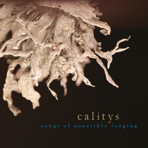【輸入盤CD】【新品】Calitys / Songs Of Unearthly Longing【K2023/9/22発売】
