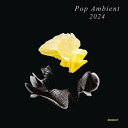 【輸入盤CD】【新品】VA / Pop Ambient 2024【K2023/12/1発売】