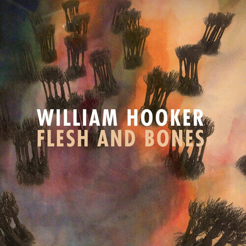Artist Name: Y - 【輸入盤CD】【新品】William Hooker / Flesh and Bones【K2023/11/3発売】