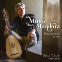 【輸入盤CD】【新品】Brescianello/Tokodi / Music For Mandora【K2019/2/1発売】