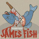 【輸入盤CD】【新品】James Fish / Dark Side Of James Fish (ジェームス・フィッシュ)